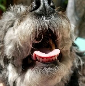 Meet your Posher, Zoe